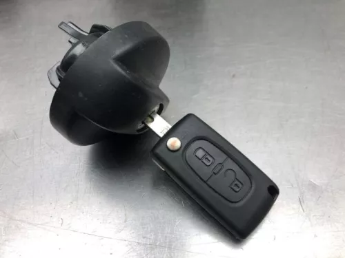 Computer Motormanagement-8126851 (20424950)