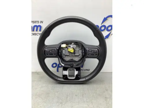 Stuurwiel-7980963