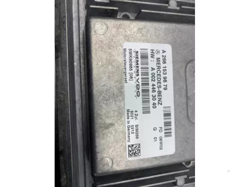 Computer Motormanagement-8225158 (21699519)