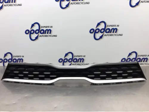 Grille-8056784