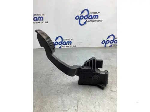 Gaspedaalpositie Sensor-8127200