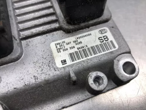 Computer Motormanagement-8224819 (21146959)