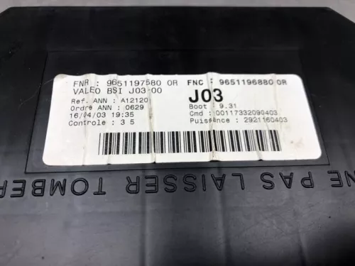 Computer Motormanagement-8160118 (20294451)