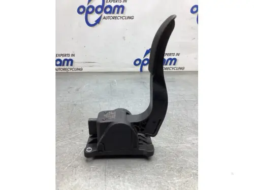 Gaspedaalpositie Sensor-8139105