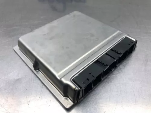 Computer Motormanagement-8135809 (20039384)