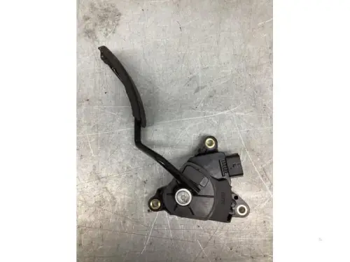 Gaspedaalpositie Sensor-8153604