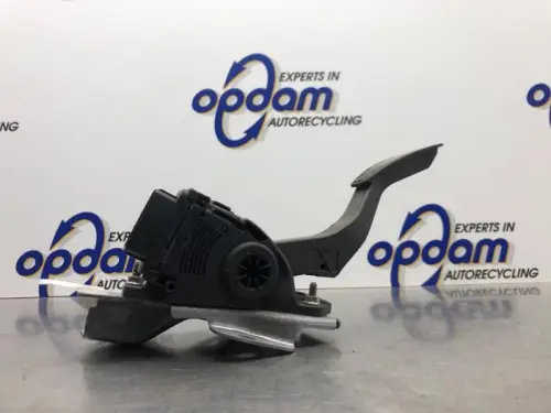 Gaspedaal-8157900