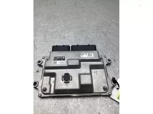 Computer Motormanagement-8198040 (22416398)