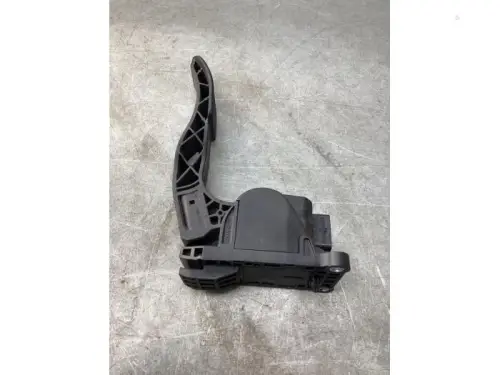 Gaspedaalpositie Sensor-8201329