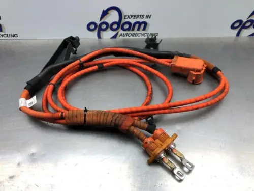 HV kabel (hoog voltage)-8103069