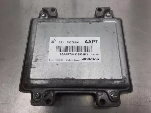 Computer Motormanagement-7876763 (16016020)