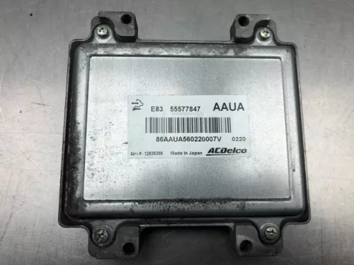 Computer Motormanagement-7765955 (17036102)