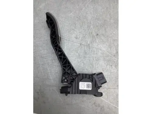 Gaspedaalpositie Sensor-8103818