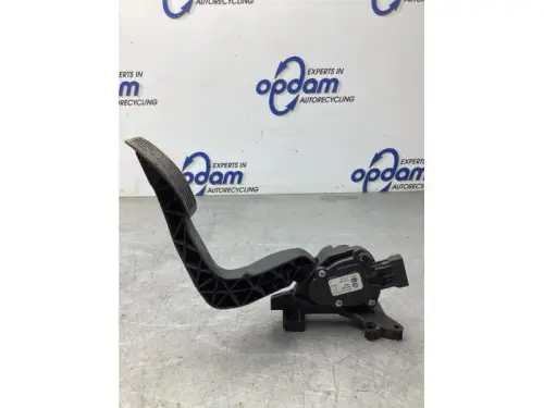 Gaspedaalpositie Sensor-8201400