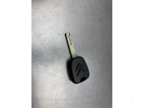 Computer Motormanagement-8218895 (21079714)