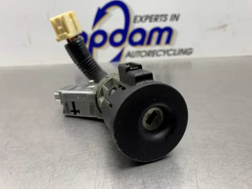 Computer Motormanagement-8252603 (21524896)