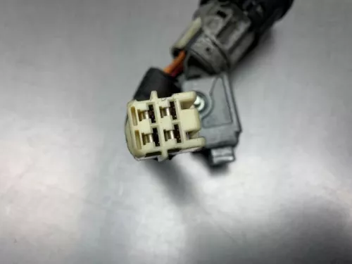 Computer Motormanagement-8252603 (21524896)