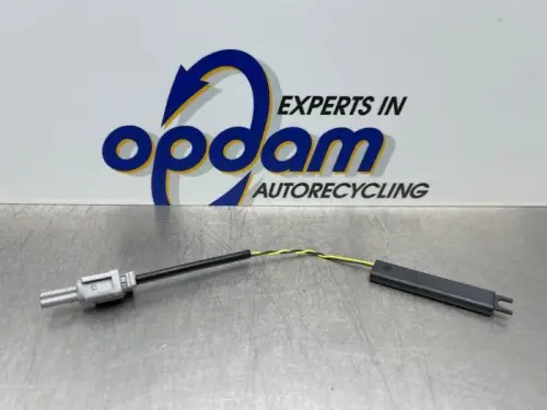 Keyless entry antenne-8324976