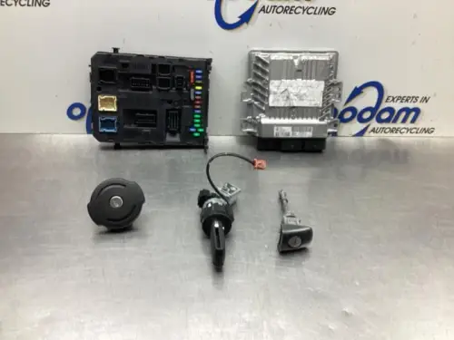 Computer Motormanagement-8091445