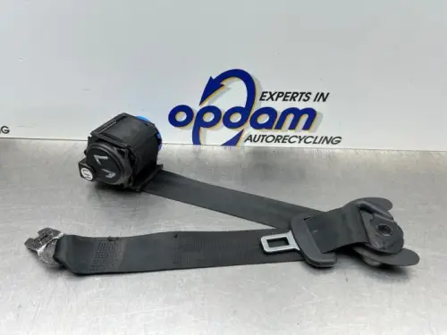 Veiligheidsgordel links-achter-8269945
