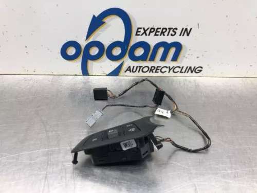 Cruise Control Bediening-8036963 (19417739)