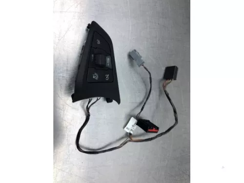Cruise Control Bediening-8036963 (19417739)