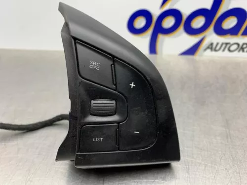 Cruise Control Bediening-8143690 (20513445)
