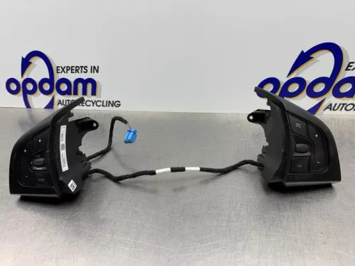 Cruise Control Bediening-8143690