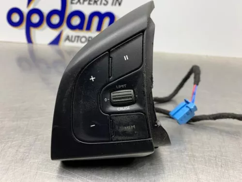 Cruise Control Bediening-8143690 (20513445)