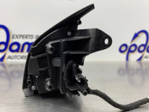 Cruise Control Bediening-8143690 (20513445)