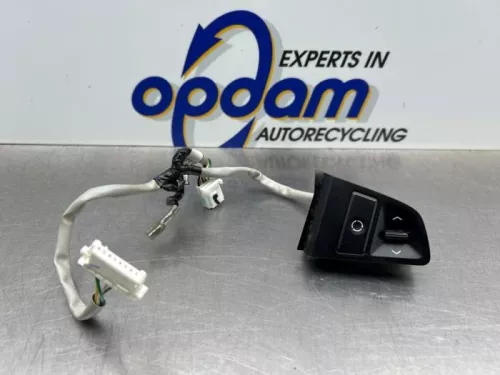 Cruise Control Bediening-8280989