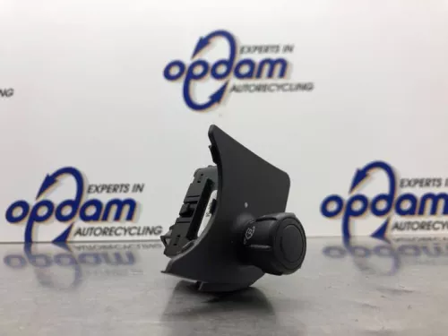 Cruise Control Bediening-8243020