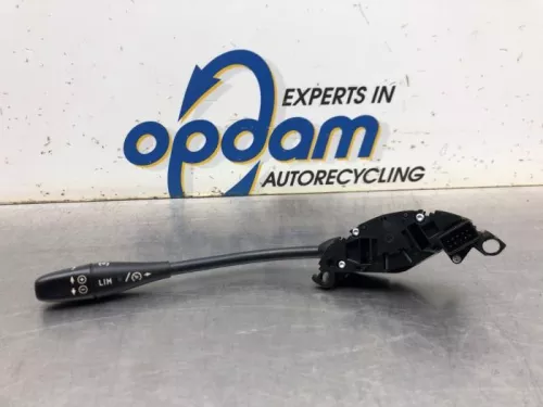 Cruise Control Bediening-8156930