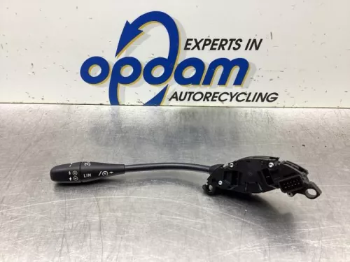 Cruise Control Bediening-8095354