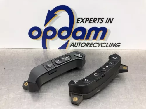 Cruise Control Bediening-8189861