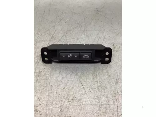 Cruise Control Bediening-7434945