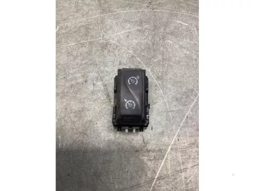 Cruise Control Bediening-8193875