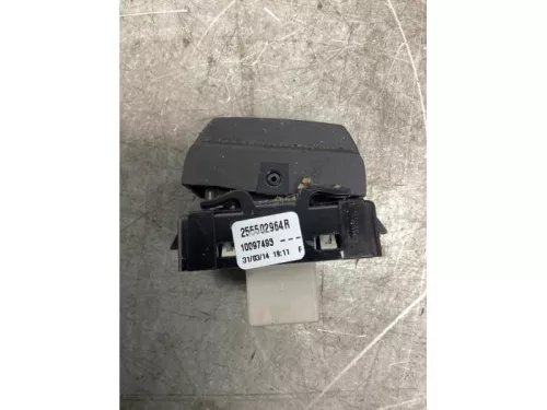 Cruise Control Bediening-8193875 (22056683)