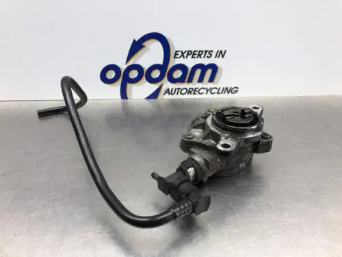 Vacuumpomp (Diesel)-8213959