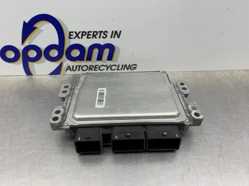 Computer Motormanagement-8187393