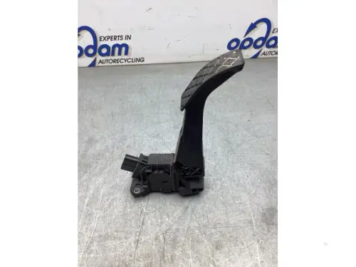 Gaspedaalpositie Sensor-8171269