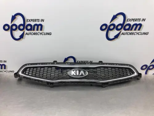 Grille-8118144