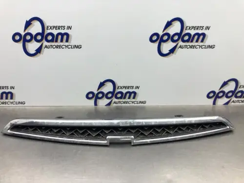 Grille-8206281