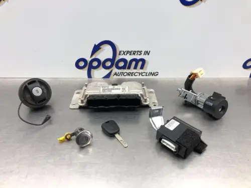 Computer Motormanagement-8224980