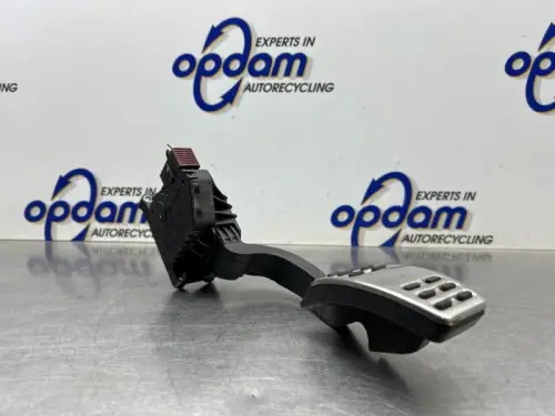 Gaspedaal-8500214