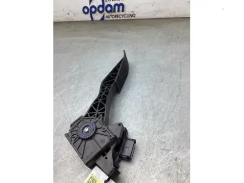 Gaspedaalpositie Sensor-8247799