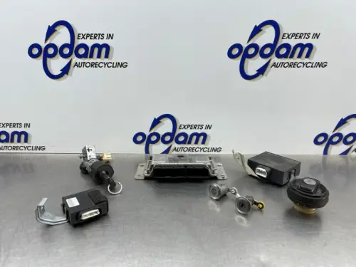 Computer Motormanagement-8315379