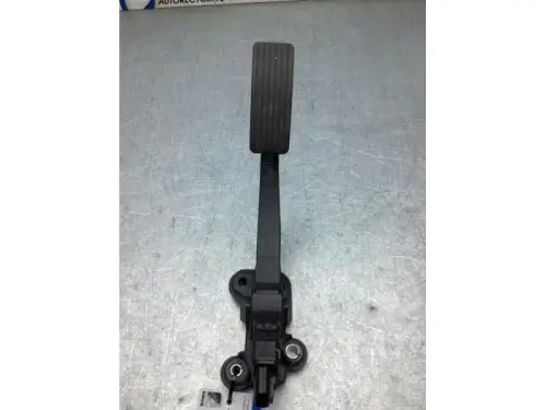 Gaspedaalpositie Sensor-8125612