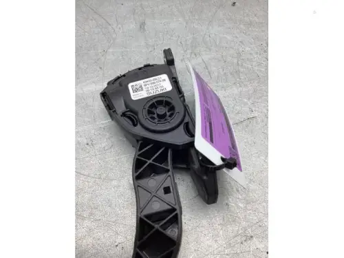 Gaspedaalpositie Sensor-8164298