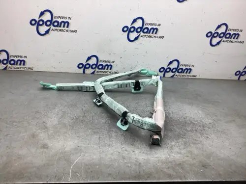 Airbag hemel links-8441202